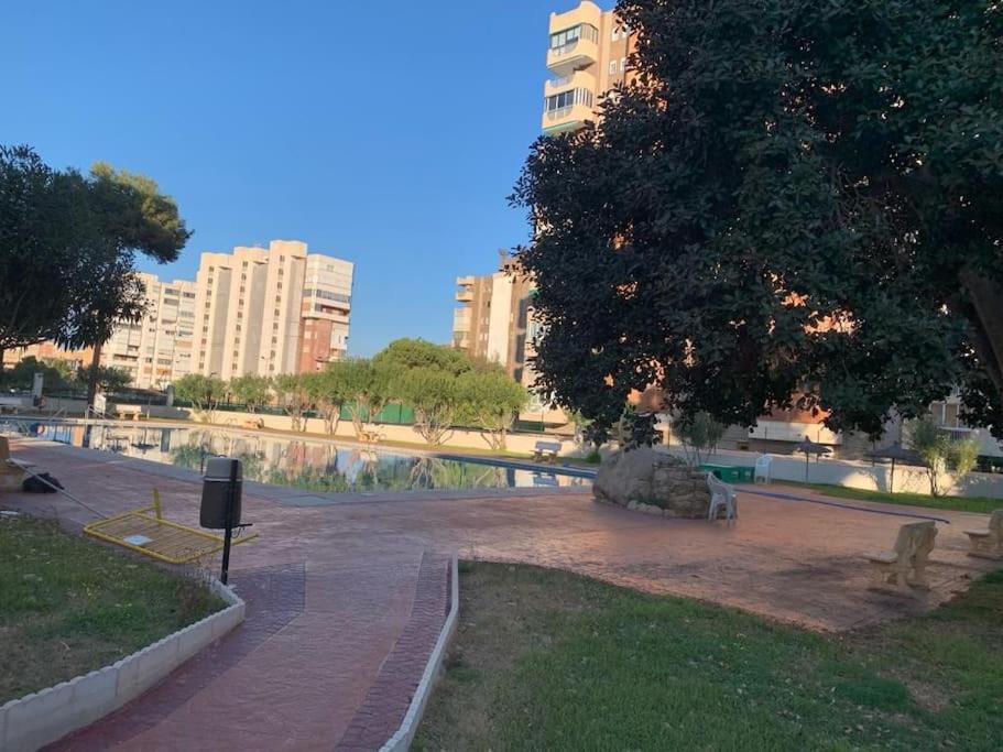 Apartamento Moderno Y Coqueto En Playa San Juan 阿利坎特 外观 照片