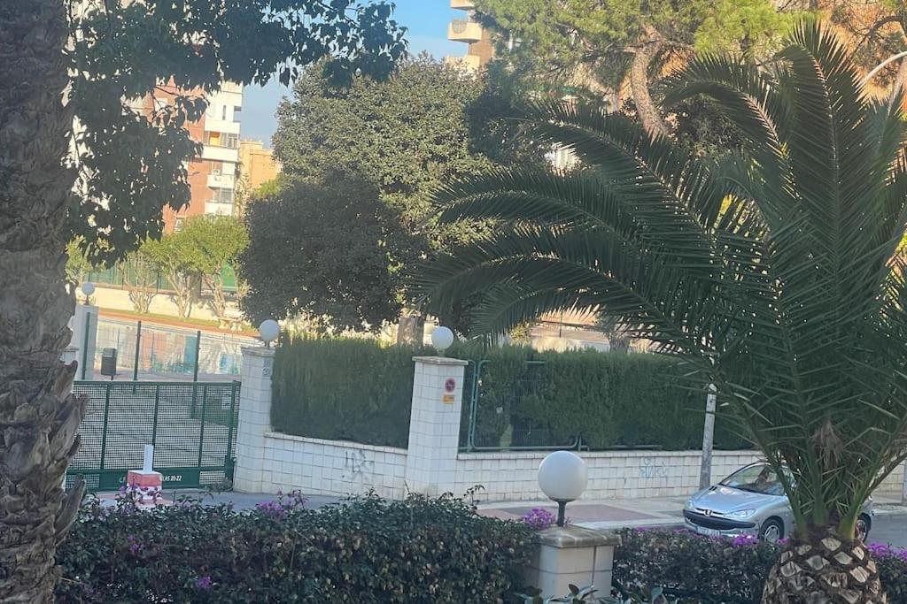 Apartamento Moderno Y Coqueto En Playa San Juan 阿利坎特 外观 照片