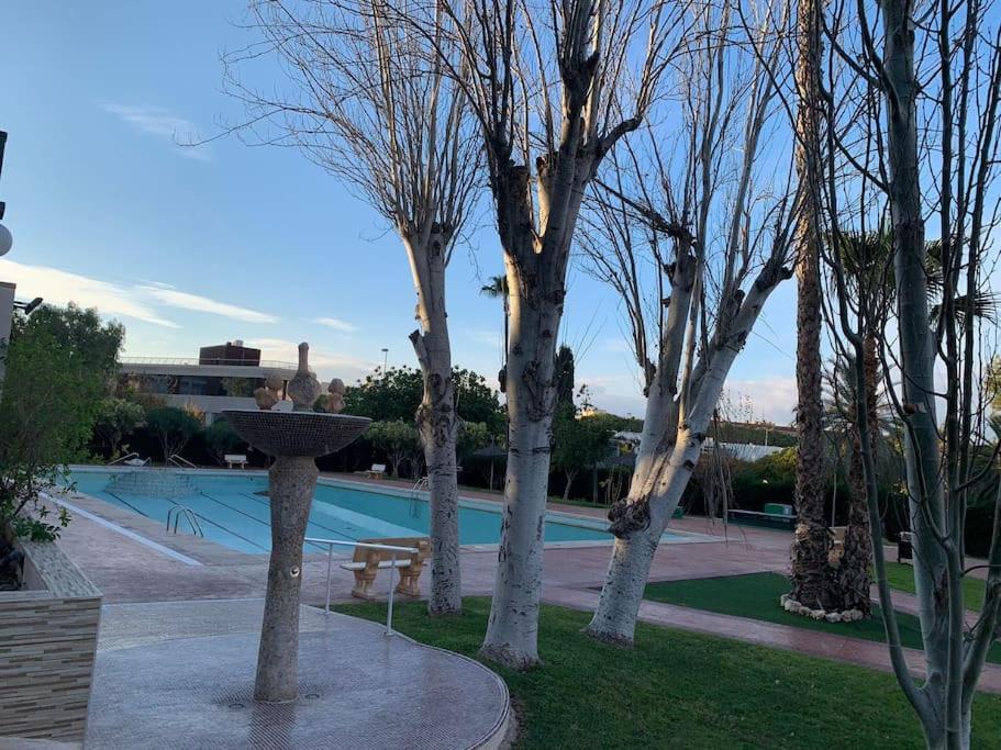 Apartamento Moderno Y Coqueto En Playa San Juan 阿利坎特 外观 照片